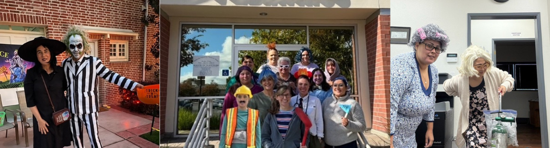 A decorative sliding carousel image